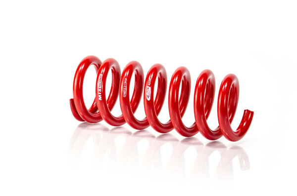 MTS Technik Pieza de repuesto Resorte auxiliar - GWFE313HA