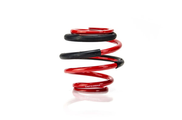 MTS Technik Pieza de repuesto Resorte auxiliar - GWFE298HA