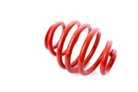 Recambio técnico MTS Technik Muelle - GWFE03HA