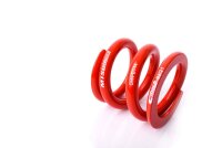 Recambio técnico MTS Technik Muelle - GWFE114