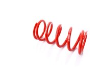 Recambio técnico MTS Technik Muelle - GWFE187