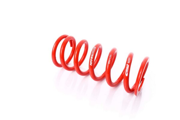 Recambio técnico MTS Technik Muelle - GWFE205