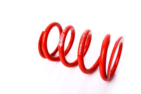 Recambio técnico MTS Technik Muelle - GWFE87