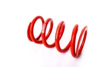 Recambio técnico MTS Technik Muelle - GWFE87