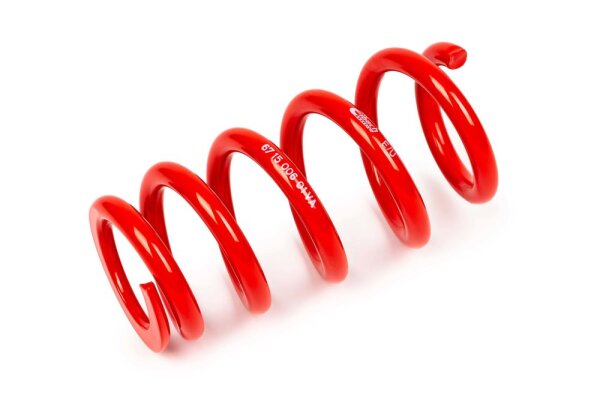 Recambio técnico MTS Technik Muelle - GWFE09VA