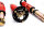 Suspensión roscada MTS Street Gold compatible con BMW 3 (E21) 316 66 KW MTSGWBM17