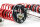 Suspensión roscada MTS Street Inox compatible con BMW 5 (E39) 525 i 141 KW XMTSGWBM101