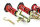 Suspensión roscada MTS Stance Gold compatible con Scion FR-S Coupé 2.0 (ZC6) 147 KW MTSGWTO03-S