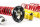 Suspensión roscada MTS Stance Inox compatible con BMW 5 Touring (E39) 530 d 142 KW XMTSGWBM109-S