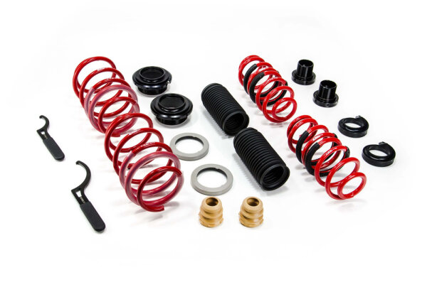 Muelles roscados MTS Gold compatibles con Seat LEON...