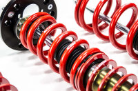 Suspensión roscada MTS Stance Gold compatible con BMW 5 (E60) 520 i - 125 KW MTSGWBM106-S