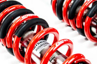 Suspensión roscada MTS Stance Inox compatible con...