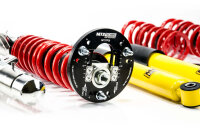 Suspensión roscada MTS Stance Inox compatible con BMW 3 Compact (E46) 316 ti - 85 KW XMTSGWBM100-S